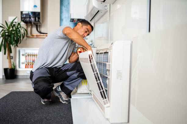 Best Emergency Air Duct Cleaning  in Reese, MI